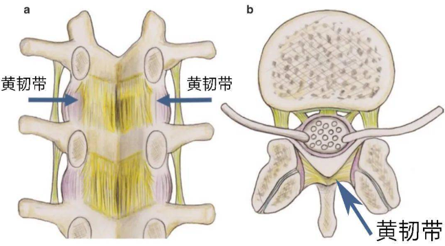 邵陽(yáng)創(chuàng  )傷骨科,邵陽(yáng)風(fēng)濕病區,邵陽(yáng)骨質(zhì)增生,邵陽(yáng)關(guān)節病區,邵陽(yáng)頸椎病區