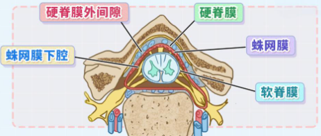 邵陽(yáng)創(chuàng  )傷骨科,邵陽(yáng)風(fēng)濕病區,邵陽(yáng)骨質(zhì)增生,邵陽(yáng)關(guān)節病區,邵陽(yáng)頸椎病區